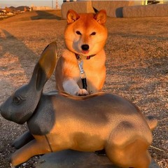 Sheeb