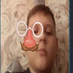 stegonego