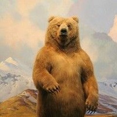 UrsA