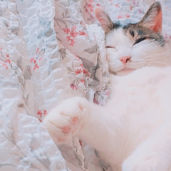 EUN