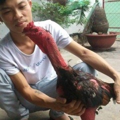 An Duong
