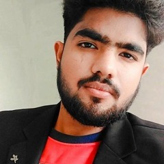 Talha Majeed