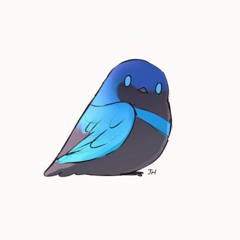 bird