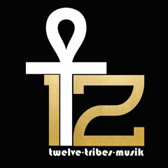 12 TRIBES MUSIK
