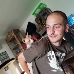 Tristan Wasgehtsiedasan