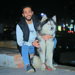 Ahmed AlzaYat
