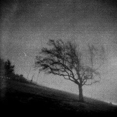 insignificant