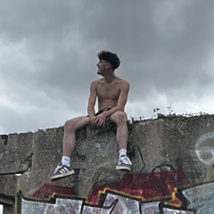 FRELON