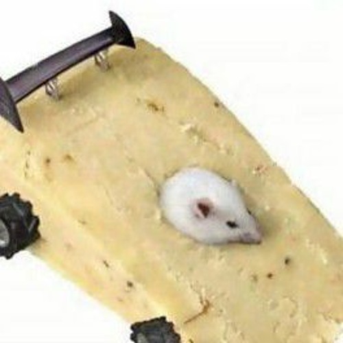 Rats cheese deals