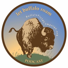 Let Buffalo Roam Podcast