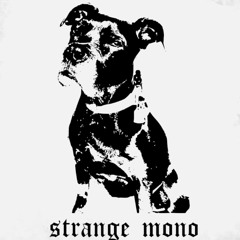 Strangemonorecords