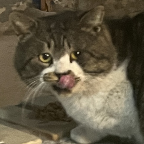 김한빈이최고다