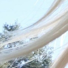maggie.h