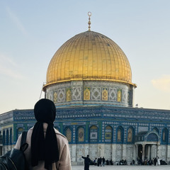 Tasneem Bokhbokh