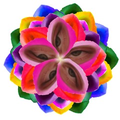 𝒮Ł𝒪𝒩𝐸𝒞𝒵𝒦𝒪