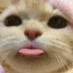 Myo Min Htun