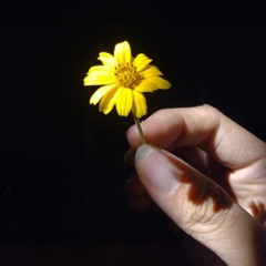 Sand flower