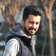 Pedram Faraji