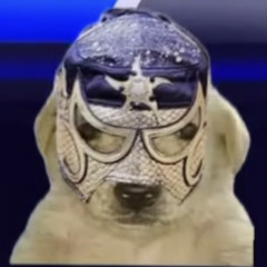Carlos Castillo