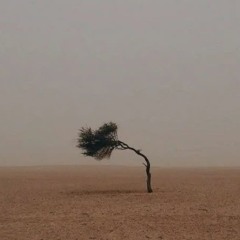 شـــ