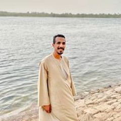 Mohamed Goda