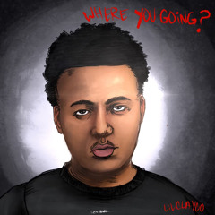 Lilclayco1