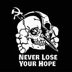 Plot