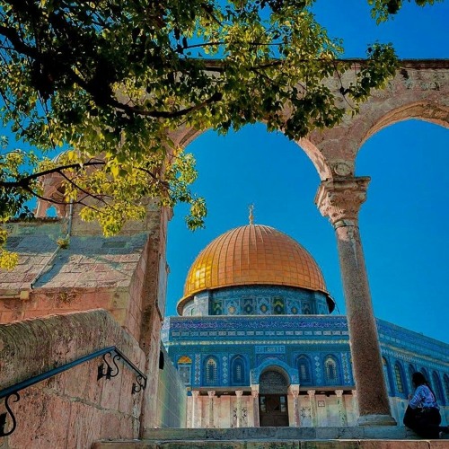 الرد-المقدس-٢-المنشد-رمزي-العك-فريق-ثوره-y2bs.com.mp3