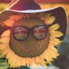 кошмар небес