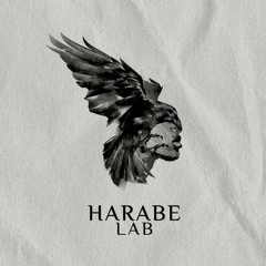 Harabe Lab