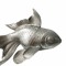 Koifisch