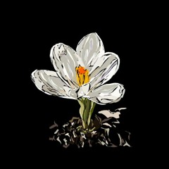 9 Hr Relaxing Music For Generous Customers Mixdown