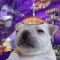 pugzinsolitary