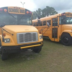 fluffy_Bus