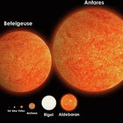 RADOSLAV & GLORIA    ROBOT