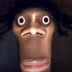 Hyperbolic Parabaloid