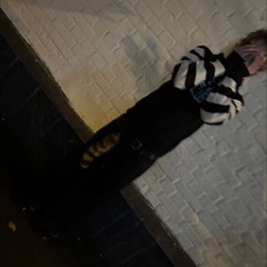 финнесджугг