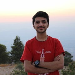محمد القضاه