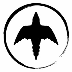 Small Town Artillery Collective