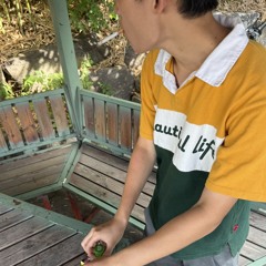 zazen