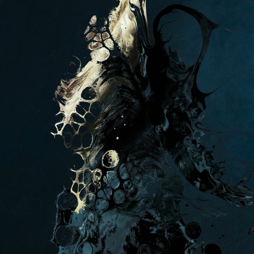 Tamas - Anatome