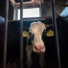 Đinh Quang Phương