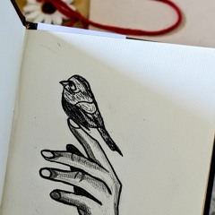 عماد.