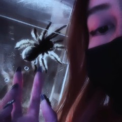 ☽𝕾𝖐𝖞𝖒𝖆𝖓𝖘𝖔𝖓☀︎