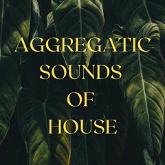 Aggregatic Sounds Of House