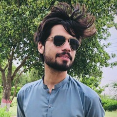 Hamy jan