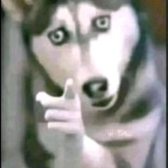 RURU