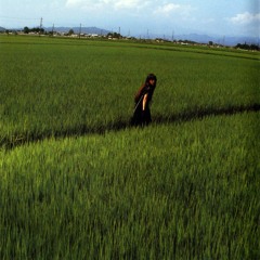 isane kotetsu ᛭
