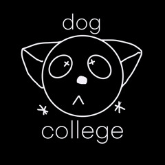 dog•college