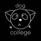 dog•college